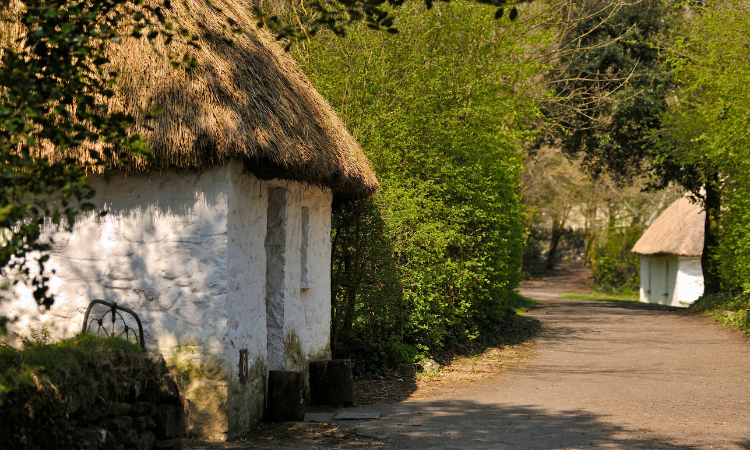 Folk Park